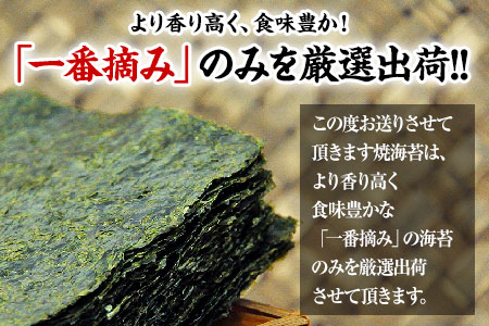有明海産 海苔 訳あり 一番摘み 海苔 120枚  都度