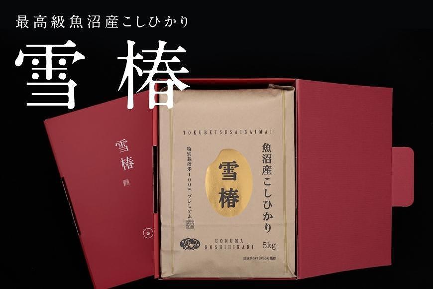 【2025年産新米】【化粧箱入り】最高級魚沼産コシヒカリ「雪椿」5kg (5kg×1袋) 特別栽培米