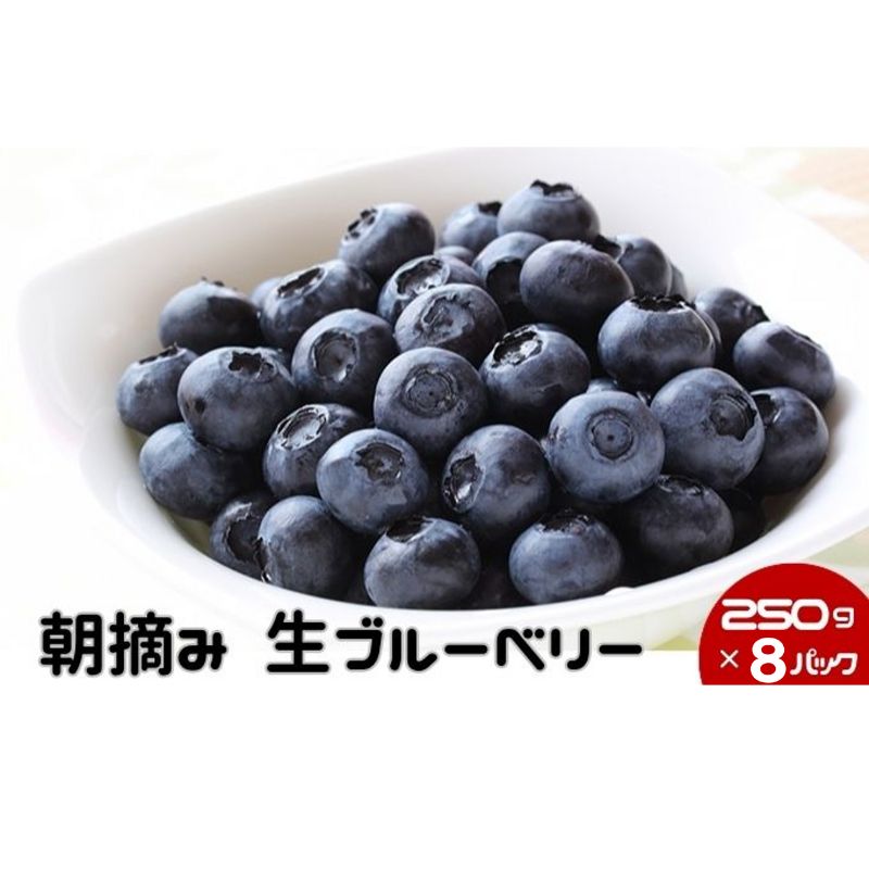 【ふるさと納税】数量限定 鹿沼 朝摘み 生ブルーベリー 250g × 8パック 2kg ｜ 果物 詰合せ フルーツ ※沖縄・離島への配送不可 ※2026年6月中旬～2026年7月中旬頃に順次発送予定