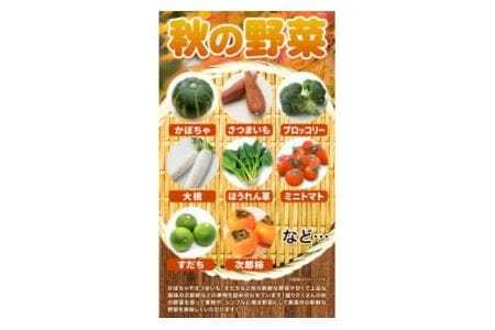 ＜ 先行予約 ＞ 旬の新鮮な 野菜便 10月秋便 8～10品 野菜