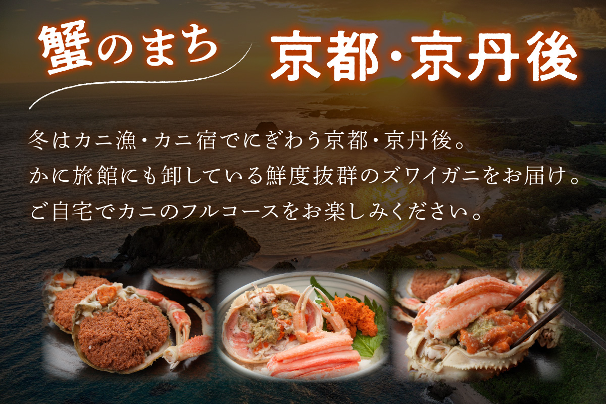 【期間エリア限定！】厳選！絶品！ 釜茹で セイコ蟹12杯 海鮮 かに カニ 蟹 セイコ蟹 セコガニ せこ蟹 ズワイガニ ズワイ蟹 コッペ ボイル 海産物 魚介類 ふるさと納税 カニ ふるさと納税 セイ