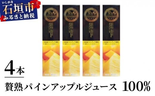 贅熟 石垣島産パインアップルジュース(100%) 500ml×4本