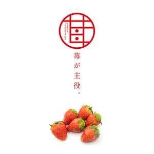 お菓子 苺が主役 恋するいちごプレミアム 10個