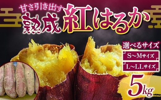 
                  ＜選べるサイズ＞甘さ引き出す 熟成紅はるか 5kg さつまいも S～Mサイズ・L～LLサイズ サツマイモ さつま芋 甘い おやつ 食品 F21T-470
                