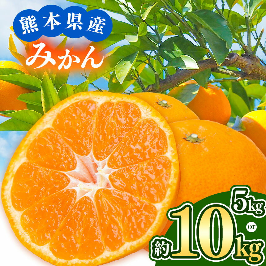 【ふるさと納税】【 先行予約 】 みかん 熊本県なごみ町産みかん 選べる内容量 約 5kg or 10kg | 熊本県 熊本 くまもと 和水町 なごみ ミカン 柑橘 果物 季節の果物 温州みかん