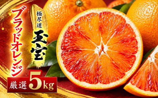 ＜愛媛名産＞玉宝ブラッドオレンジ(タロッコ)　5kg＜E64-68＞【1621810】 YWTY057