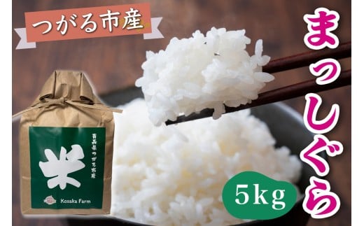 令和7年産 つがる市産 まっしぐら 白米 5kg｜2025年産 まっしぐら 白米 お米 米 コメ 精米 農協 青森 新米 [0937]