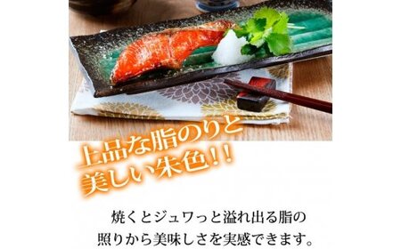 鮭 サケ 切り身 冷凍 おかず 人気 / 和歌山魚鶴仕込の天然紅サケ切身約2kg【uot401-4】