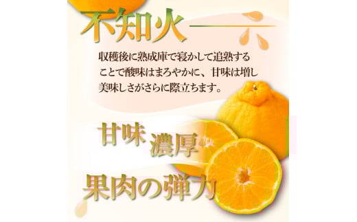 AF-A2 【先行予約】串間市都井「石上農園」の不知火・ポンカンセット（不知火2Lサイズ・3個、ポンカンMサイズ・30玉～35玉）【石上農園】