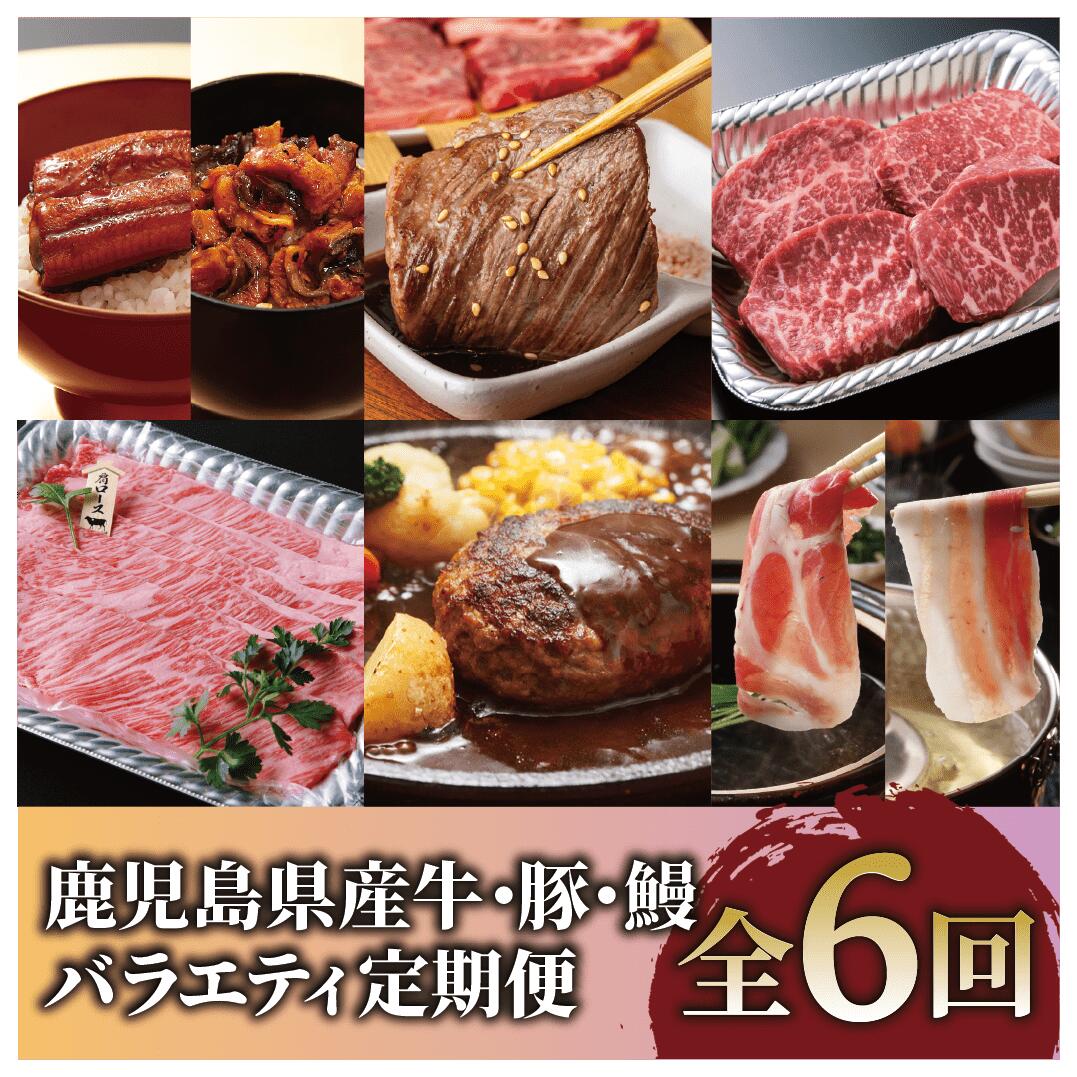 【ふるさと納税】＜定期便・全6回(連続)＞鹿児島県産牛・豚・鰻バラエティ定期便！ 牛肉 すき焼き しゃぶしゃぶ スライス 焼き肉 赤身 霜降り ステーキ モモ 黒毛和牛 和牛 a5 国産 豚肉 黒豚 ハンバーグ 豚バラ 肩ロース うなぎ 鰻 ウナギ 蒲焼き かばやき きざみ