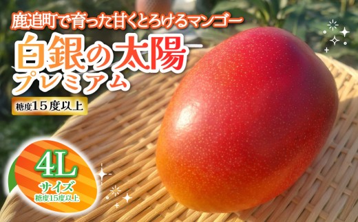 北海道鹿追産　白銀の太陽プレミアム（糖度１５度以上）　４L×１玉【 ふるさと納税 人気 おすすめ ランキング マンゴー マンゴーフルーツ 果物 くだもの 果実 フルーツ ハウス栽培マンゴー 北海道 鹿追町 送料無料 】 SKZ010