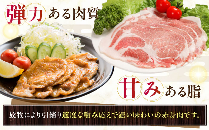 放牧豚 放牧豚 肩ロース生姜焼き 計1360g（170g×8）《厚真町》　【ファーマーズファクトリー株式会社】 [AXBA125]