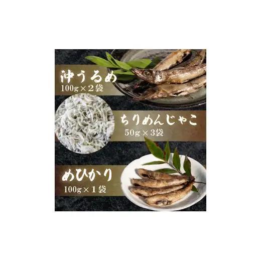 干物3点セット ちりめんじゃこ めひかり ウルメ 干物干物干物干物
