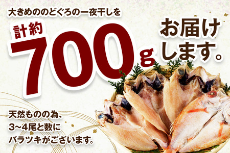 のどぐろ一夜干し 大きめ 計約700g（3～4尾） のどぐろ 干物 【024_1983】