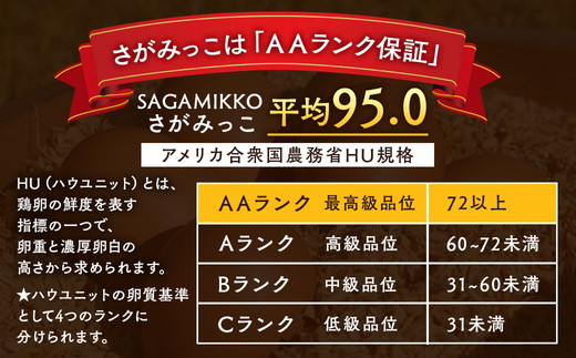 【12ヶ月定期便】定期便 お楽しみ 毎月届く《かながわブランド認定》平飼い有精卵さがみっこ 30個（10個×3パック）×12ヶ月 ｜ 神奈川県相模原市産 たまご 卵 鶏卵 玉子 たまご 生卵 平飼い 