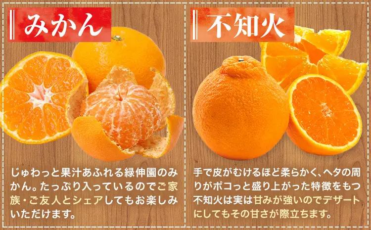 先行予約 4回 フルーツ 定期便 梨 みかん 柿 不知火 緑伸園  熊本