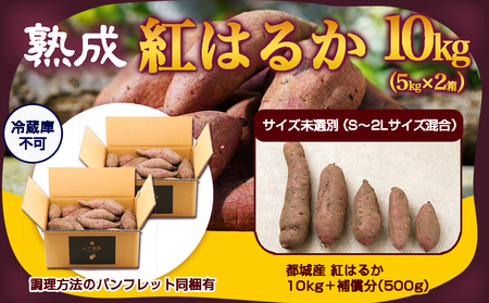 先行受付!【10月お届け】【農家直送】山下農園　熟成紅はるか 10kg_AA-I705-10_(都城市) 都城産 紅はるか 10kg 農家直送 サイズ未選別 さつまいも 長期熟成