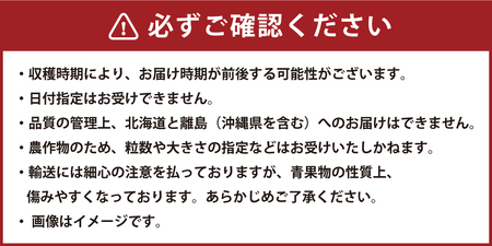 福岡県産 あまおう 800g以上 いちご 苺 【2027年1月上旬-3月下旬発送】