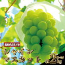 【ふるさと納税】 ぶどう 詰め合わせ 2kg シャインマスカット 1房 他種の ぶどう 2房 ～ 3房 マスカット ますかっと ぶどう ブドウ 葡萄 大粒 皮ごと 果物 くだもの フルーツ 旬 2025年9月上旬 ～ 中旬発送予定 先行予約 徳島県 吉野川市