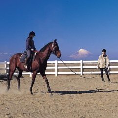 【ふるさと納税】 乗馬体験 乗馬 馬 体験 チケット 自然 観光 クリエ三浦 神奈川県 三浦市 おすすめ ランキング プレゼント ギフト