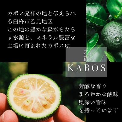 かぼす発祥の地臼杵市乙見・ブランドかぼす【乙御KABOS】２㎏　カボス 青果 柑橘 