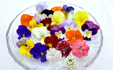 【Dセット】エディブルフラワー(生花20輪)4パック サラダクレソン(80g) エディブルフラワー(ドライ2g) 食用花 食べられる花 生け花 誕生日 プレゼント 飾り付け 食用 お菓子【配達不可：離