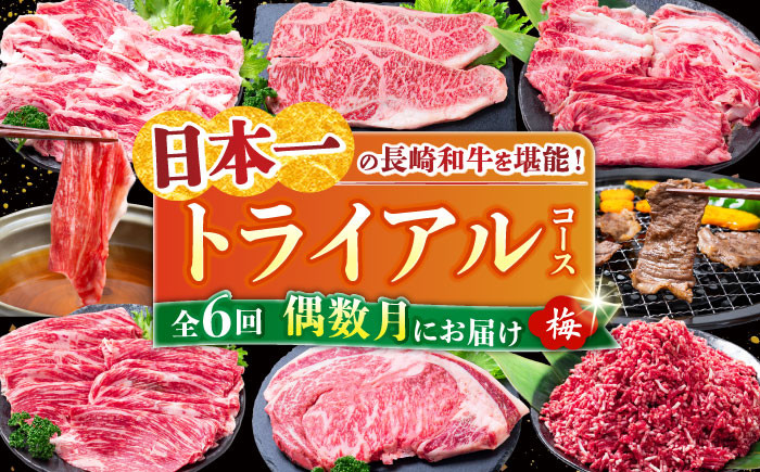 
                  【全6回定期便】 長崎和牛 トライアルコース (梅) 長崎県/水田精肉店 [42ACAF021] 牛肉 牛 定期便 毎月 サーロイン ステーキ もも モモ すき焼き カルビ ロース バラ ミンチ
                