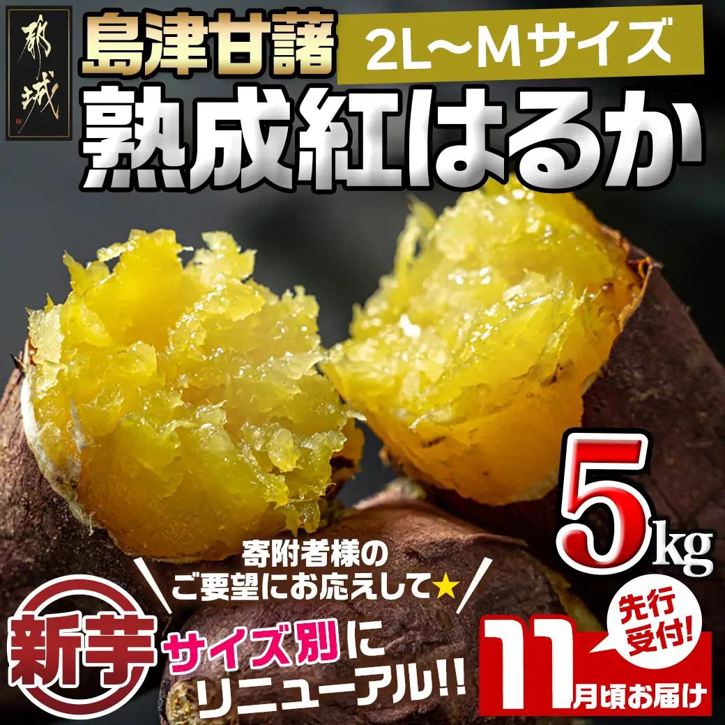 先行受付!【11月お届け】島津甘藷　熟成紅はるか 5kg(2L～M)〔LE-A7-001-5kg-11〕_(都城市) 島津甘藷 紅はるか 未選別 5kg 2L～M