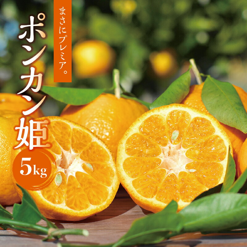 【ふるさと納税】 予約受付中！ポンカン姫 5kg 数量限定（プレミア和歌山認定商品）【1月上旬〜2月中旬発送予定】 ぽんかん フルーツ 果実 みかん ミカン オレンジ 旬 限定