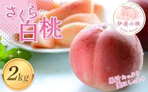 福島の桃 さくら白桃2kg（4～7玉） 【あかい果樹園】 2025年出荷分 先行予約 フルーツ 果物 もも モモ momo  桃 デザート くだもの 果実 食品 F20C-911