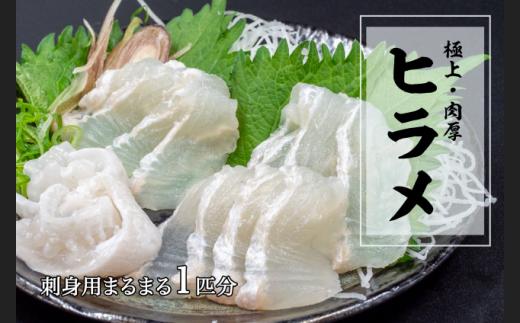 極上 ヒラメ 2枚 【 800g ～ 1.2kg 】 1匹 分 高級魚 鮃 刺身 刺し身 真空パック 高知県 須崎市 ひらめ KS0081