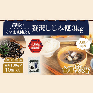 【3ヶ月定期便】涸沼産 冷凍しじみ 中粒１kg（100g×10p）【シジミ 中粒しじみ 産地直送 砂抜き済み 砂抜き 小分け包装 味噌汁 みそ汁 水戸市 茨城県】（CA-4）