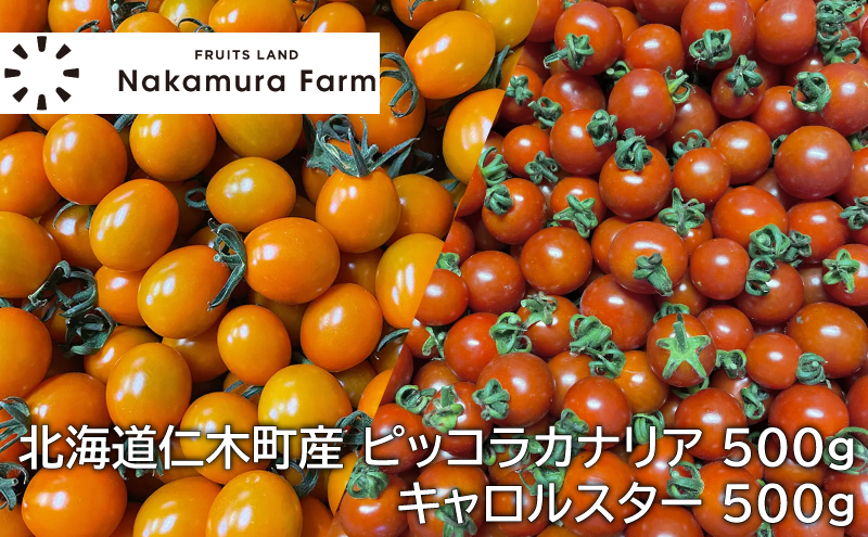 [野菜ソムリエサミット金賞・銀賞] ミニトマト 詰め合わせ 