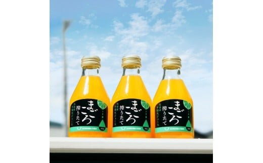 
                  M083　まごころ搾りたて有田産不知火ジュース１８０ｍｌ　１２本入
                