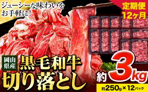牛肉【12ヶ月定期便】 肉 黒毛和牛 切り落とし 訳あり 大容量 小分け 3kg 1パック 250g 定期便《お申込み月翌月から出荷開始》岡山県産 岡山県 笠岡市 お肉 にく カレー 牛丼 切り落し 切落し