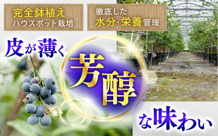 ジューシーで濃厚な甘み！佐々町産冷凍ブルーベリー「あいあいの雫」300ｇ×4袋【堀内フルーツファーム】[QAT017]