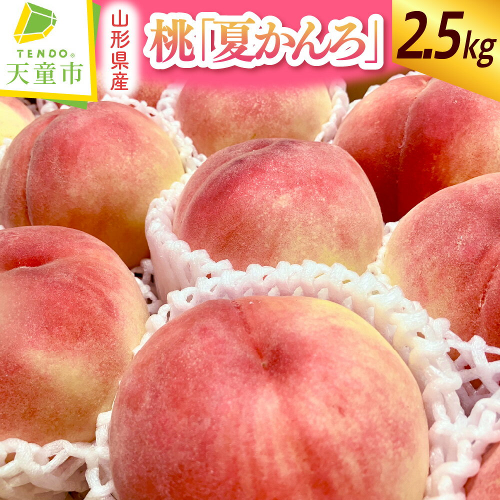 【ふるさと納税】 もも ( 夏かんろ ) 2.5kg 秀 先行予約 令和8年産 2026年産 桃 白桃 紅桃 ピーチ peach 果物 くだもの フルーツ デザート 夏 旬 冷蔵 ご家庭用 のし 贈答 ギフト プレゼント お取り寄せグルメ 産地直送 送料無料 【 山形県 天童市 】