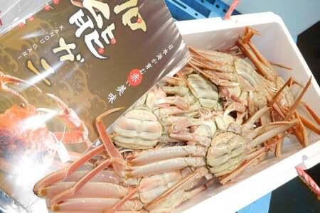 【期間限定発送】【能登半島 漁協直送！】ボイル済 香箱ガニ 10尾