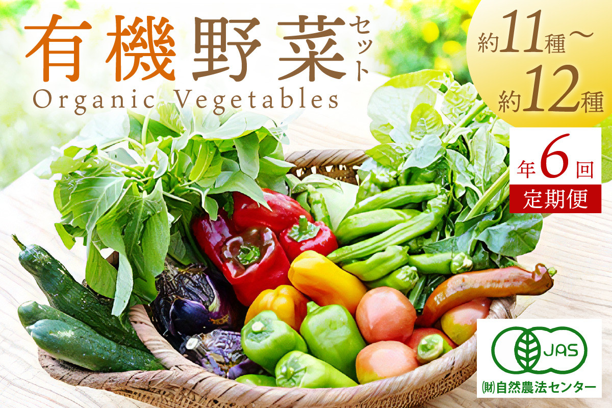 
            【年6回定期便】＜てんとうむしばたけ＞オーガニック野菜セット　有機野菜11～12種(4人用)　定期便  農家直送 京都直送 野菜 有機野菜 オーガニック セット 詰め合わせ 野菜セット 国産 京都産 ふるさと納税 野菜　BR00053
          