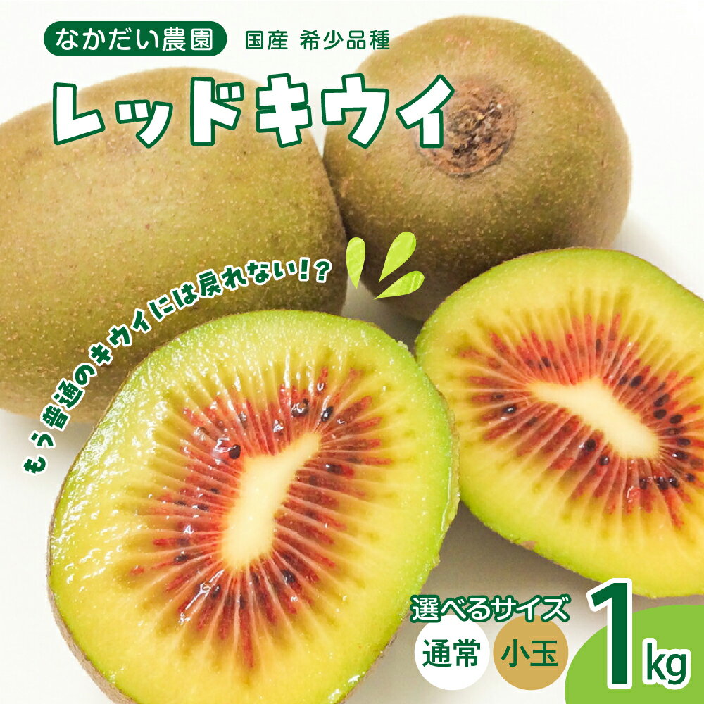 【ふるさと納税】先行予約 希少品種 レッドキウイ 約1kg / 小玉1kg【2025年9月下旬～発送】選べる内容量 なかだい農園 栽培期間中 防腐剤 化学肥料 農薬不使用 キウイ キウイフルーツ フルーツ 果物 甘い 食べきりサイズ お取り寄せ 国産 暑さ 対策 先行受付 広島県 呉市