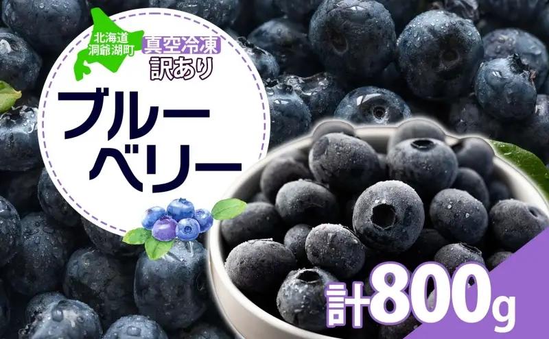 訳あり ブルーベリー 計800g 真空 冷凍 北海道 洞爺湖町産