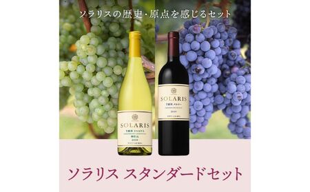 ワイン 信州ワイン 赤 白 ソラリス スタンダードセット ワインセット フレッシュ 果実香 ほどよい酸味 アロマ 果実味 タンニン