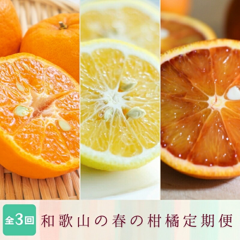 【ふるさと納税】 定期便全3回 【2月・3月・4月発送】 和歌山の春の柑橘 （ポンカン・はるか・ブラッドオレンジ）秀品