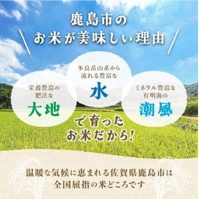 ふるさと納税 鹿島市 令和7年産 鹿島市産 [さがびよりor夢しずく] 30kg 1袋 【品種指定不可】 |  | 03