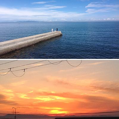 ふるさと納税 岬町 山と海 自然豊かな 岬町  黒ニンニク  蜂蜜 (ペースト)  (純粋)  にんにく加工食品 |  | 03