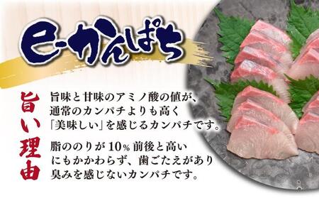 AG-CD1 【先行予約】東京オリンピック供給資格「AEL(養殖エコラベル)」認証取得のカンパチ！活き〆プレミアムフィッシュ「e-かんぱち」丸ごと1尾(ラウンド・3.0kg～3.8kg)【マルエイ水産