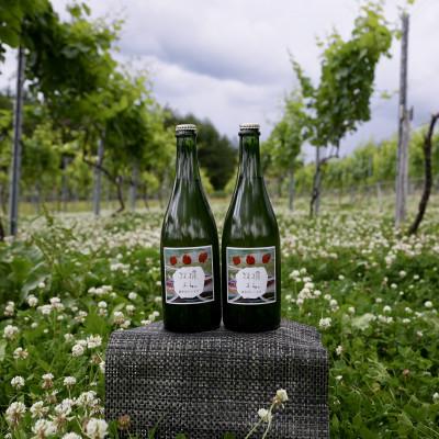 ふるさと納税 喜多方市 WINERY JUN【喜多方シードル2024】750ml×2本セット