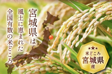 米 宮城県産 ひとめぼれ 5kg / 気仙沼米穀商業協同組合 / 宮城県 気仙沼市 [20562100] 一等米 白米 精米 ご飯 ごはん コメ こめ 小分け 家庭用