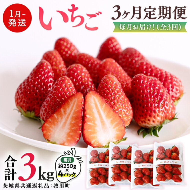 【ふるさと納税】【 定期便 】 合計3kgお届け いちご の3ヶ月連続お届け便 （1回：250g×4パック）×3回 【2026年1月から発送開始】（茨城県共通返礼品：城里町産） 果物 フルーツ イチゴ 苺 白いちご 白苺 とちおとめ 白いちご 紅ほっぺ やよいひめ 定期便