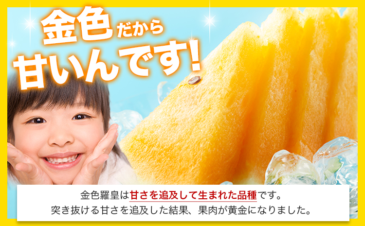 【先行予約】【日付指定不可】『きよたファーム』の黄色すいか1玉 《2026年5月上旬-7月中旬頃出荷》熊本県玉名郡玉東町『きよたファーム』すいか フルーツ 果物 熊本県産 黄色